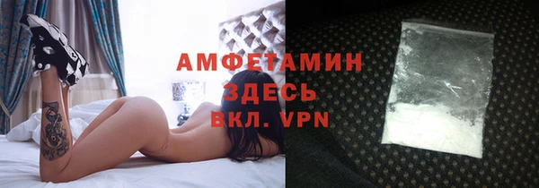 шишки Мегион