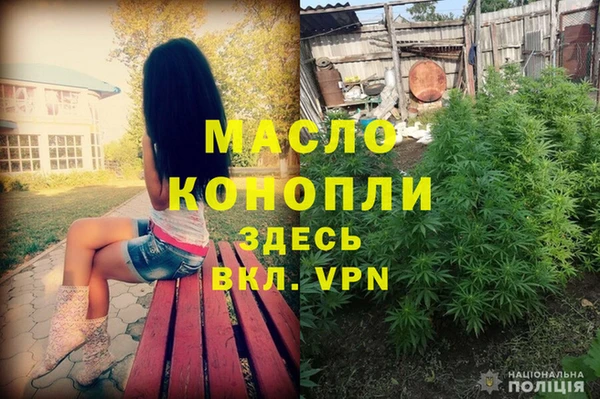 шишки Михайлов