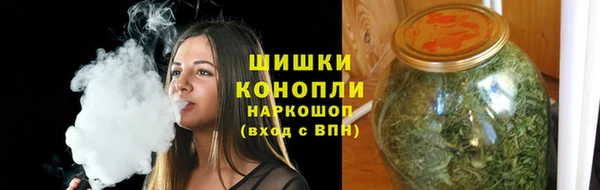 шишки Мегион