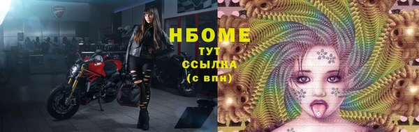 шишки Михайлов
