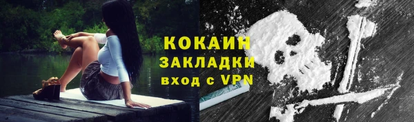шишки Михайлов